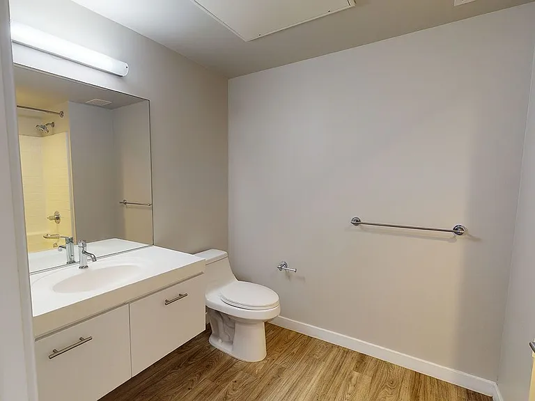 Apartment bathroom with wood-style flooring.