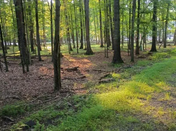 0 Chestnut Dr, Hazleton, PA 18202