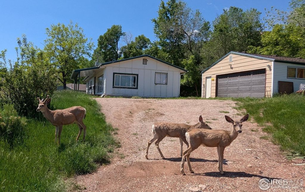 4809 Foothills Dr