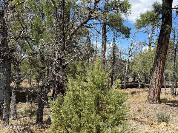 1226 GREEN RIDGE Drive #80, Happy Jack, AZ 86024