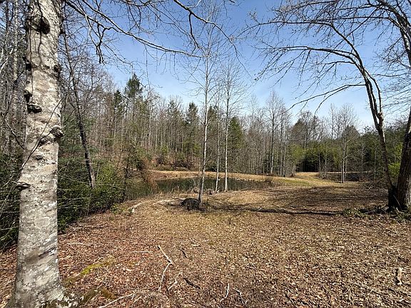 4th image of 142 Stone Valley Cir