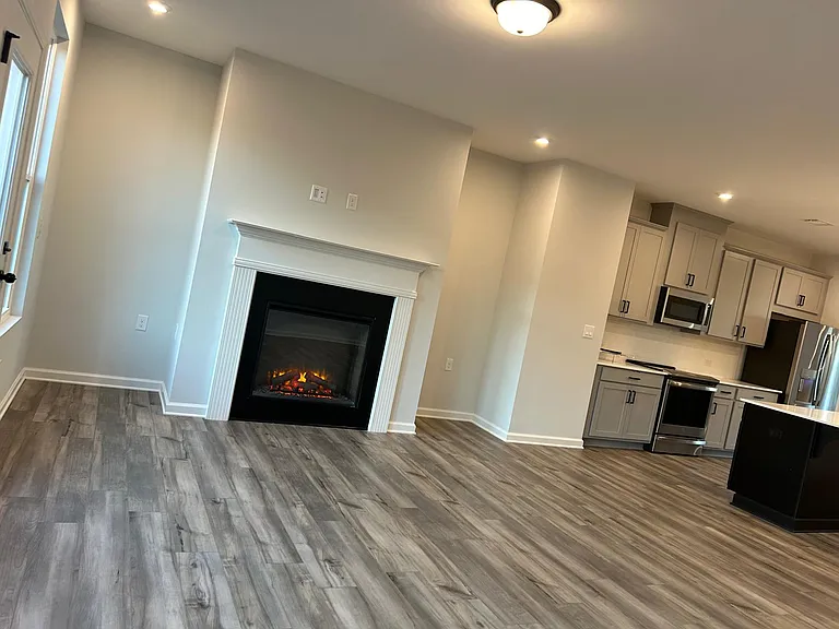 Living Fireplace
