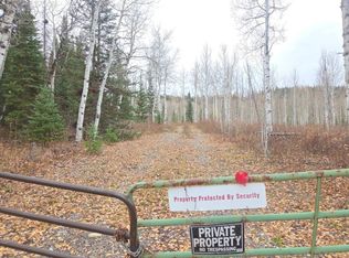 26659 Willow Gulch Dr, Clark, CO 80428