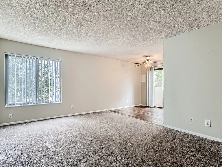 Carpeted Living Room