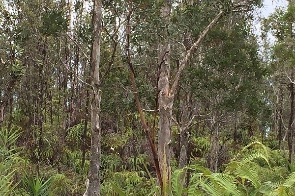 1st image of Road 5 Lot 3957