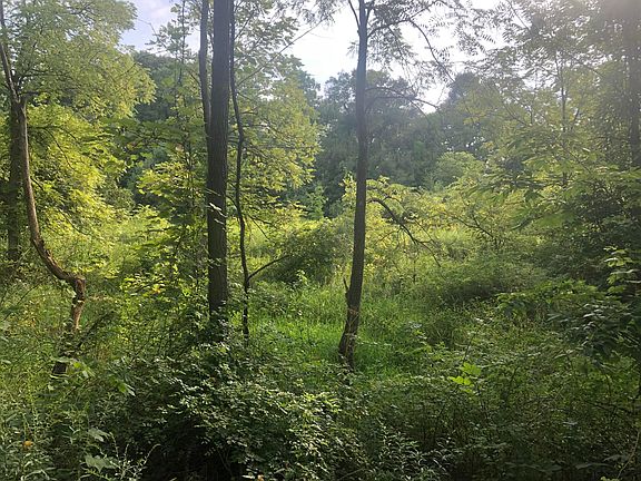 4th image of 0 County Road 204