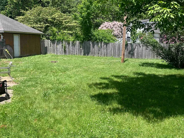 Shared back yard