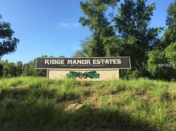 33174 Tombstone St, Webster, FL 33597