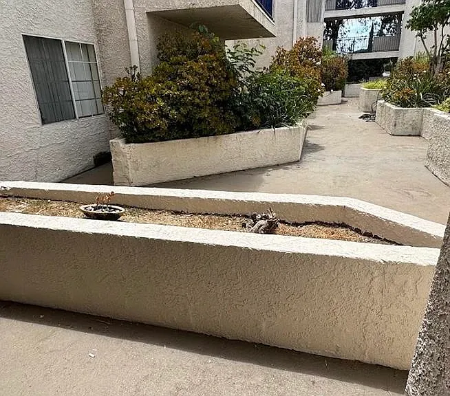 Palm Terrace — Photo 16