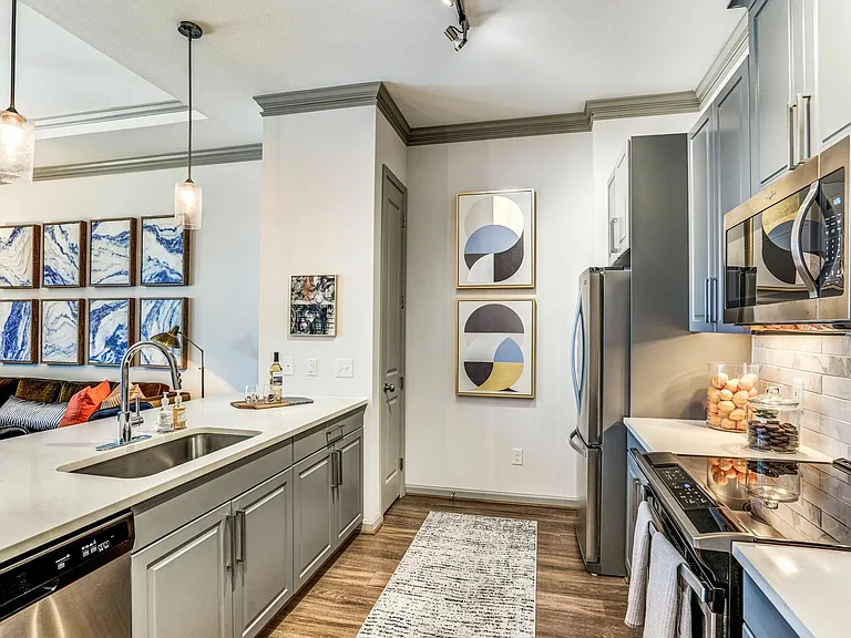 Stylish Kitchen with Stainless Steel Appliances at The Hendry