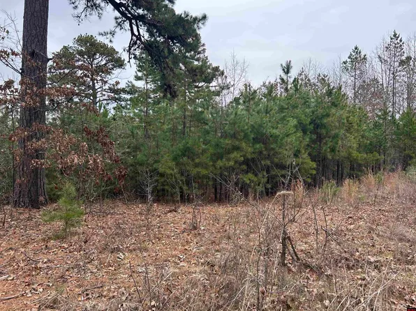 001-0197-000 Turkey Springs Rd, Harriet, AR 72639