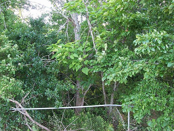 Lots of mature trees.