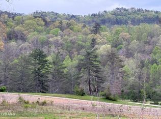 128 Elbow City Rd, Rogersville, TN 37857