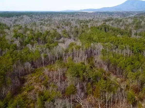 0 Conniston Rd #72, Chatsworth, GA 30705