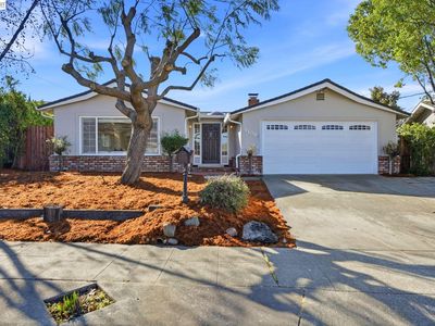 41581 Joyce Ave, Fremont, CA, 94539