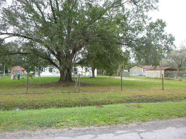 6616 Mangrove Dr — Photo 19