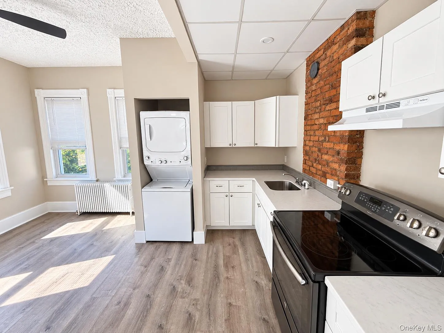 3 bed, 1.0 bath, 1000 sqft, $2,450 — Photo 3