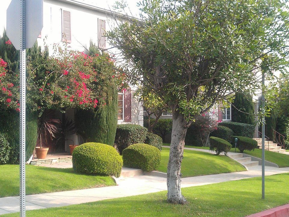 Quiet and small courtyard property. Entire property is non-smoking.