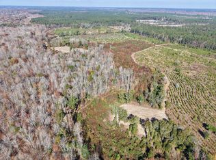 Altman Rd, Hampton, SC 29924