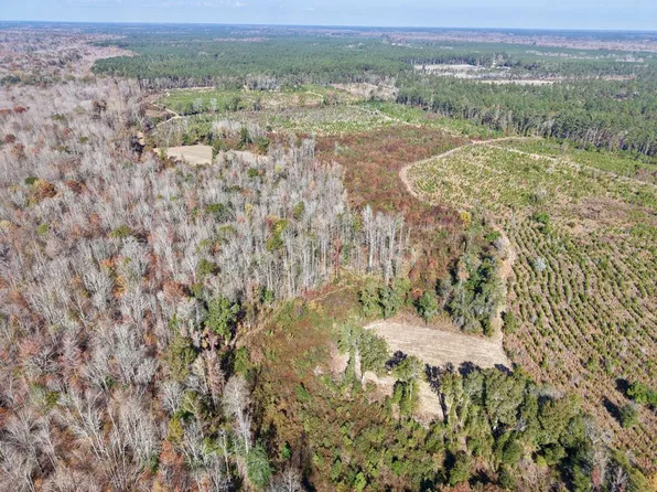 Altman Rd, Hampton, SC 29924