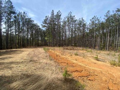 29 Cv Lot Iuka Ln, Iuka, MS, 38852