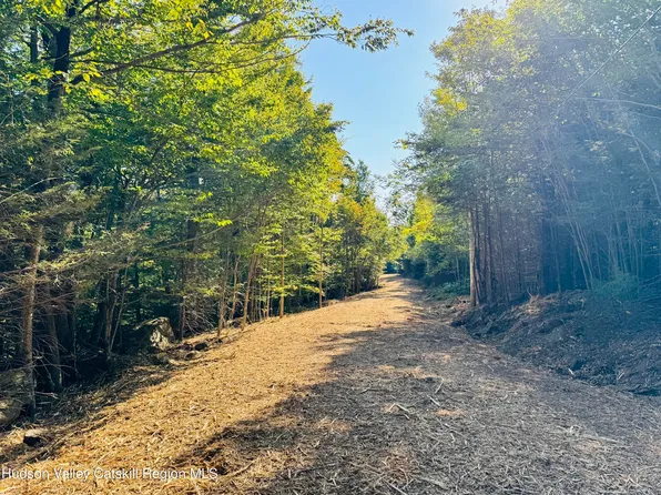 13 Corfu Road, Elka Park, NY 12427