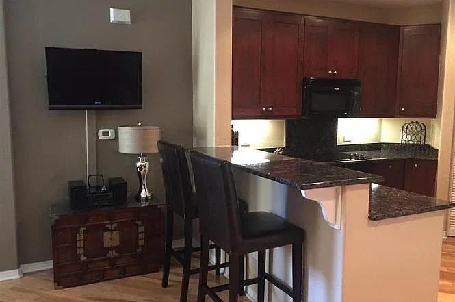 1 bed, 795 sqft, $2,950 — Photo 3