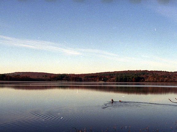 View from front