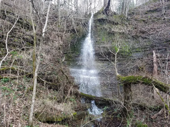 323 Spring Creek Rd, Westpoint, TN 38486