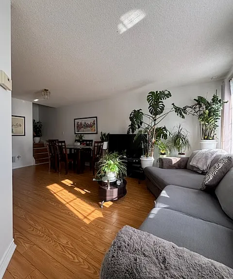 Townsgate Dr — Photo 8