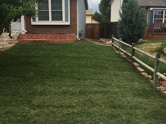 view 3 of front yard