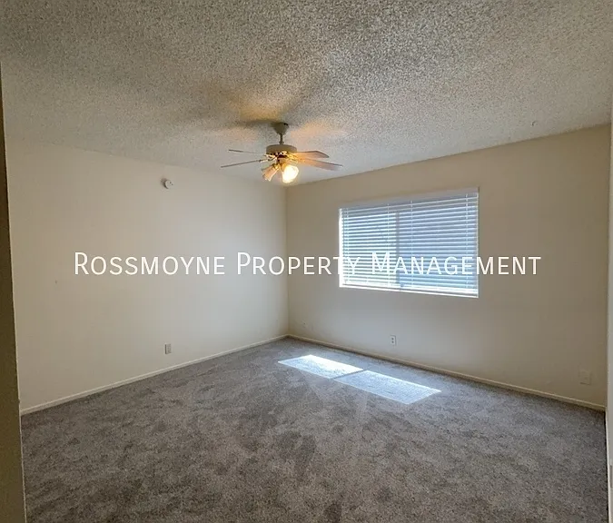 222 S Magnolia Ave #E — Photo 14