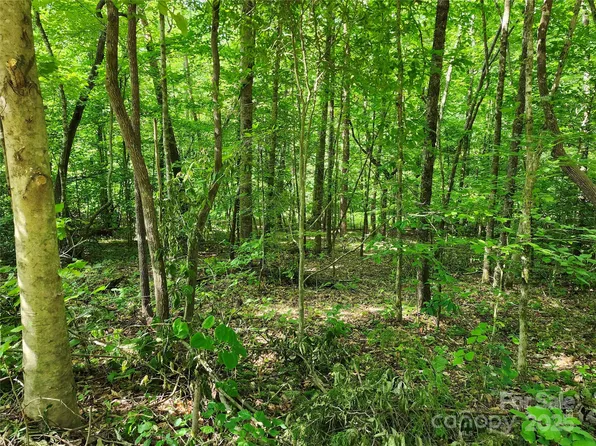 0 Hayes Rd #67, Columbus, NC 28722