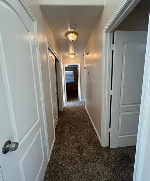 3845 Primrose St — Photo 22
