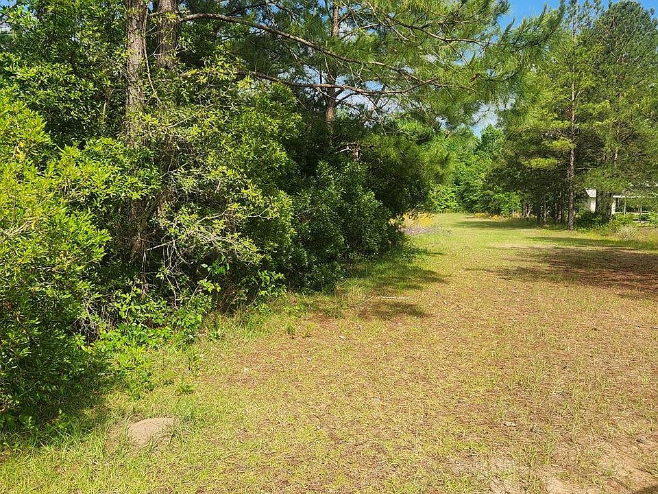 0 Reedy Creek Dr, Ailey, GA 30410 MLS 21455 Zillow