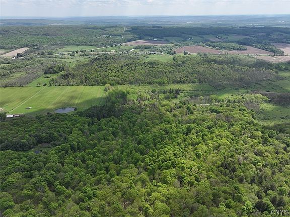 3rd image of Dye Rd