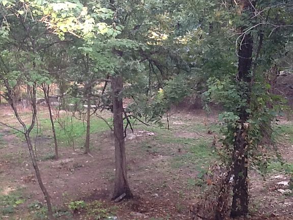 View from back deck