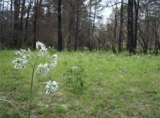 Alau Ct, Bastrop, TX 78602