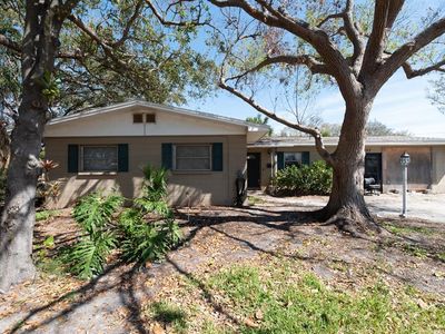 4707 W Alline Ave, Tampa, FL, 33611