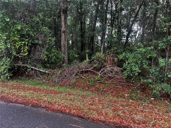NW 61st Ln Lot 20, Ocala, FL 34482