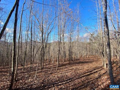 Walnut Grove Ln, Lovingston, VA, 22949