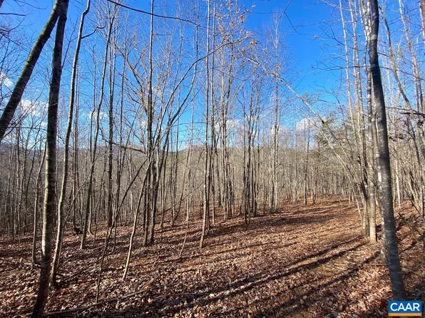 Walnut Grove Ln, Lovingston, VA 22949