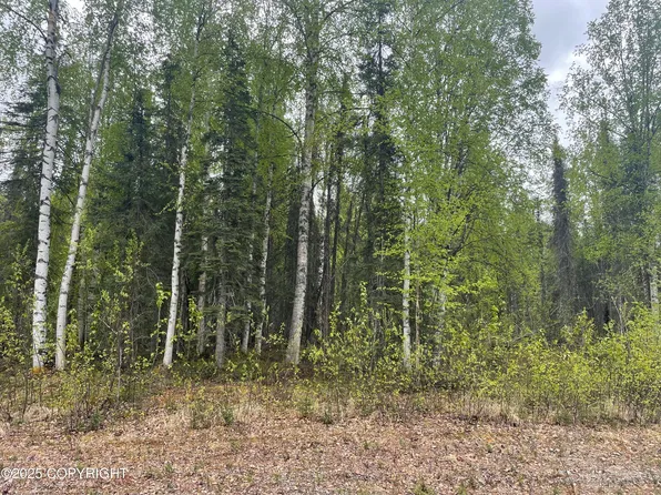 14968 E Gyrfalcon Dr, Talkeetna, AK 99676