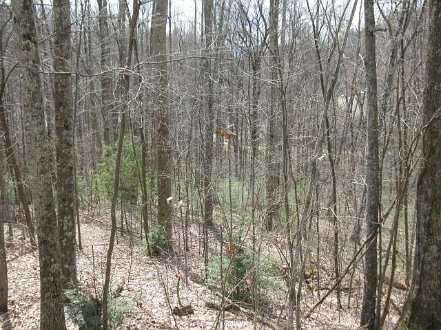 2nd image of 2402 Hatcher Mountain Rd