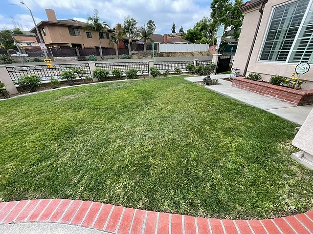 903 Rose Glen Ave — Photo 5
