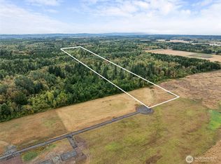 137 Jenny Kay Lane, Ethel, WA 98542