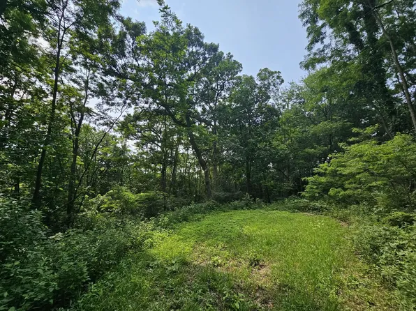 65864 Chandler Rd, De Soto, WI 54624
