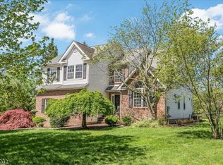 6 Steeple Chase Ct, Bedminster, NJ 07921