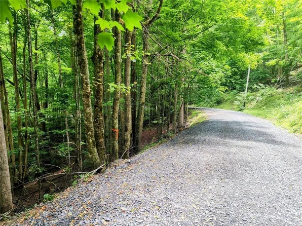 139 Raccoon Road, Beech Mountain, NC 28604