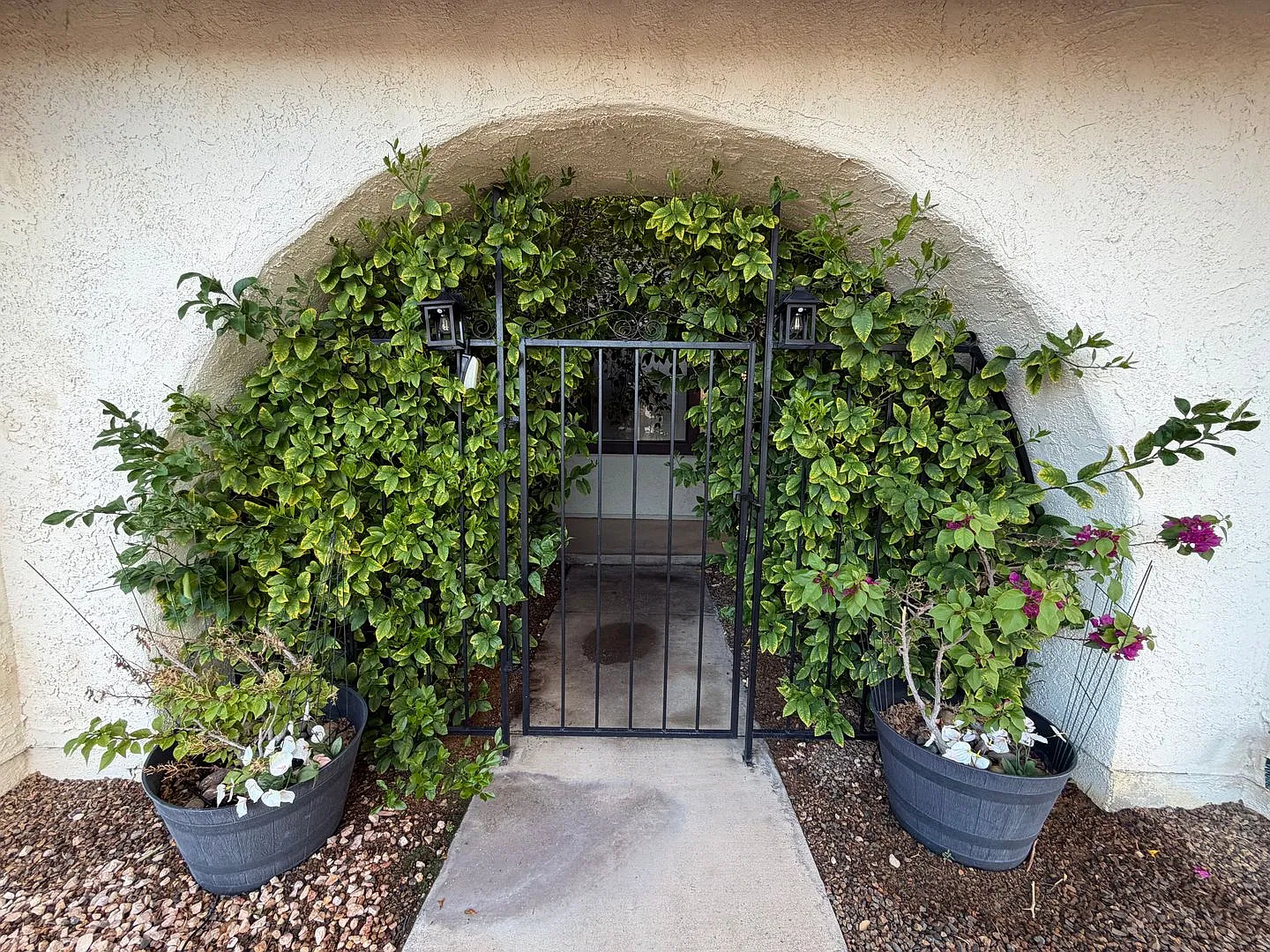 Boulder City with RV Parking! — Photo 3
